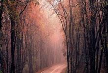 15岁道曼若代表阿森纳出战曼联,将打破足总杯正赛最年轻纪录.