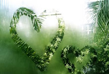 [法甲]击败图卢兹 巴黎圣日耳曼收获六连胜.