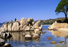 名场面|许昕神仙球让外国解说直呼“靓仔”.